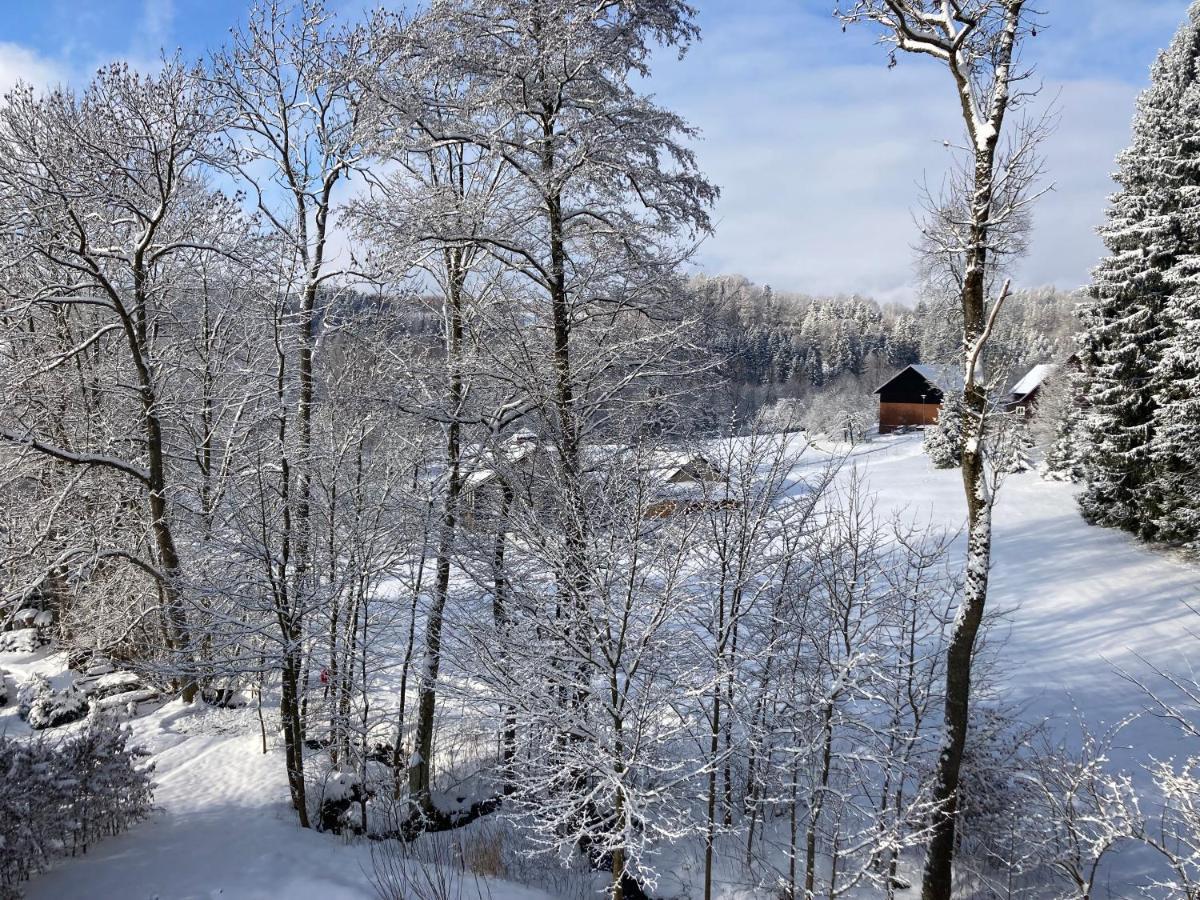 Sedivinske Apartmany - Rodinne Apartmany V Orlickych Horach Kounov Екстер'єр фото