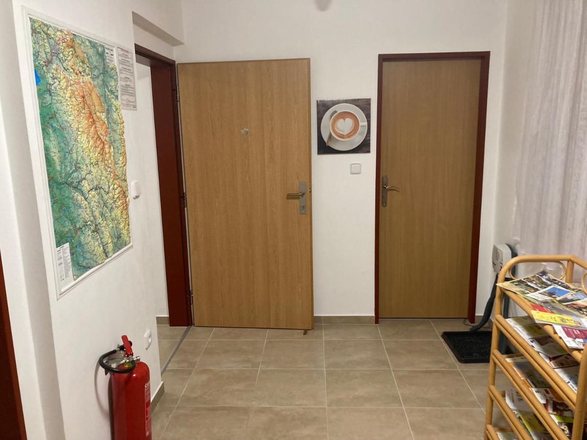 Sedivinske Apartmany - Rodinne Apartmany V Orlickych Horach Kounov Екстер'єр фото