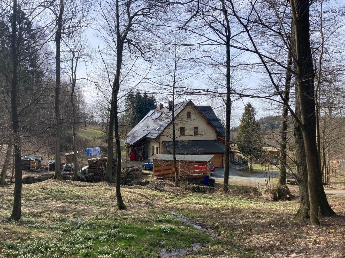 Sedivinske Apartmany - Rodinne Apartmany V Orlickych Horach Kounov Екстер'єр фото
