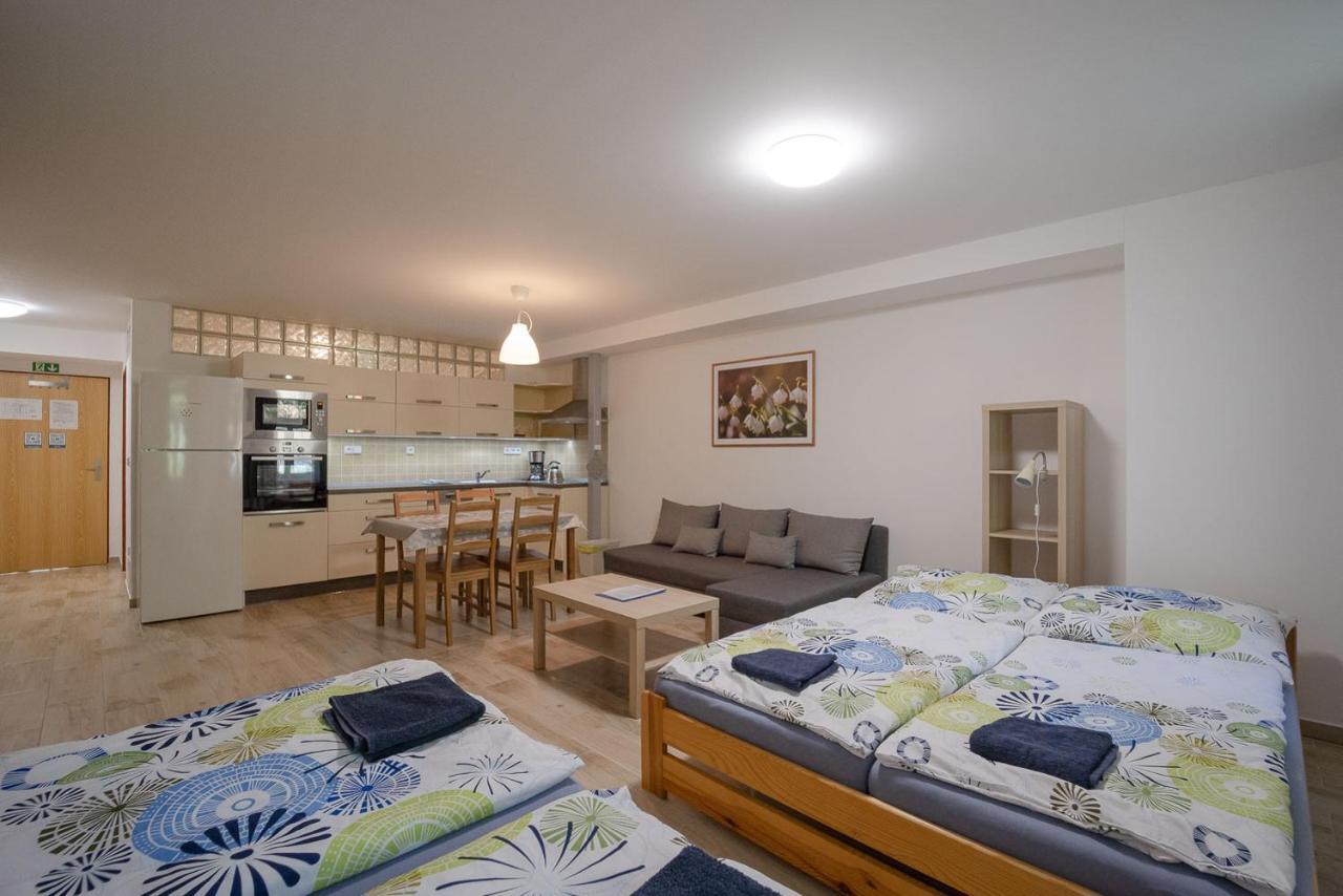 Sedivinske Apartmany - Rodinne Apartmany V Orlickych Horach Kounov Екстер'єр фото